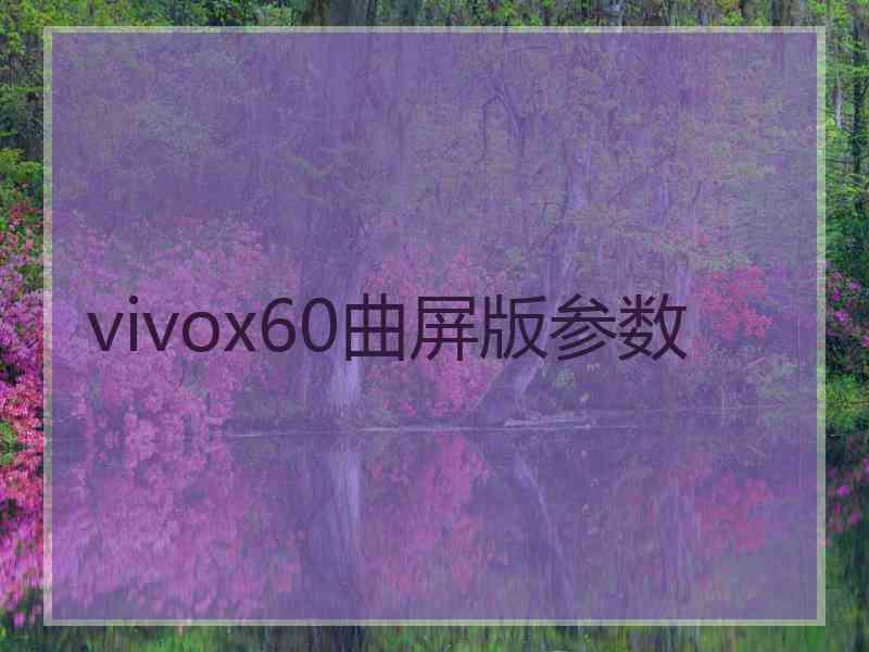 vivox60曲屏版参数