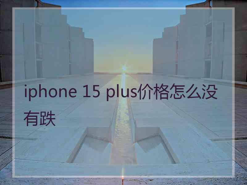 iphone 15 plus价格怎么没有跌