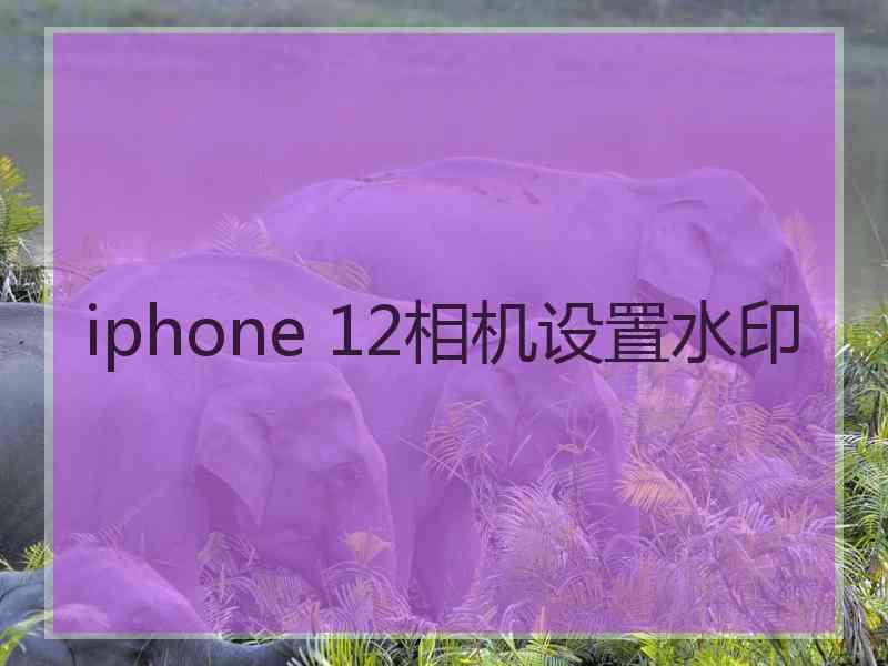 iphone 12相机设置水印