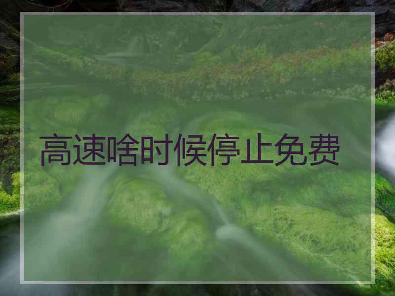 高速啥时候停止免费