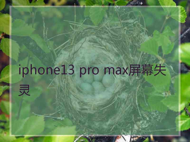 iphone13 pro max屏幕失灵