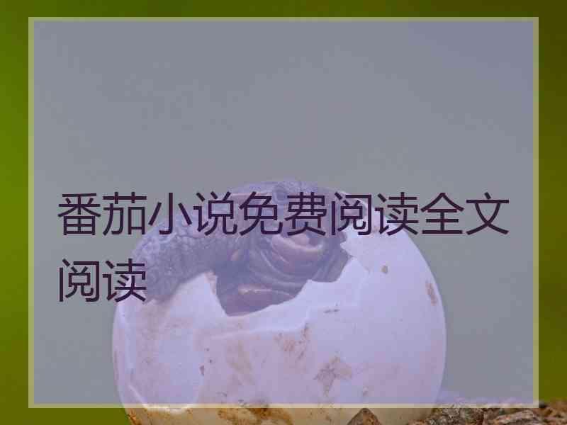 番茄小说免费阅读全文阅读