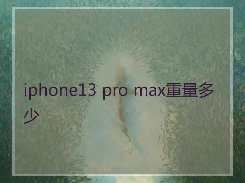 iphone13 pro max重量多少