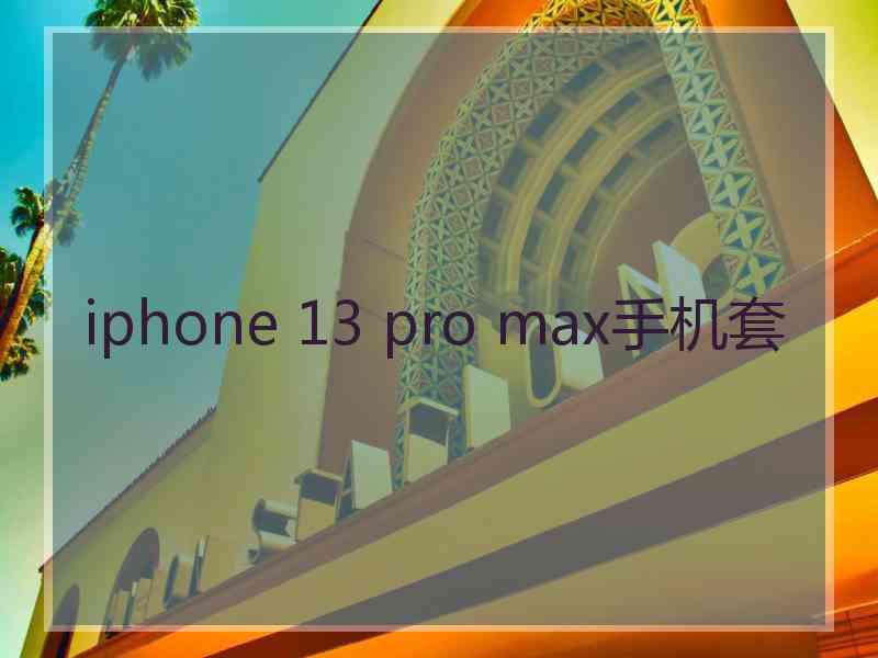 iphone 13 pro max手机套