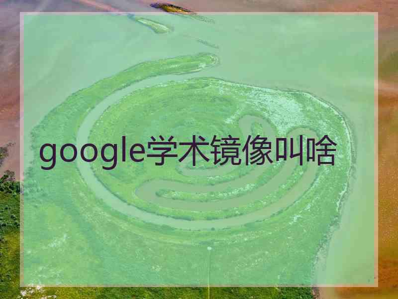 google学术镜像叫啥