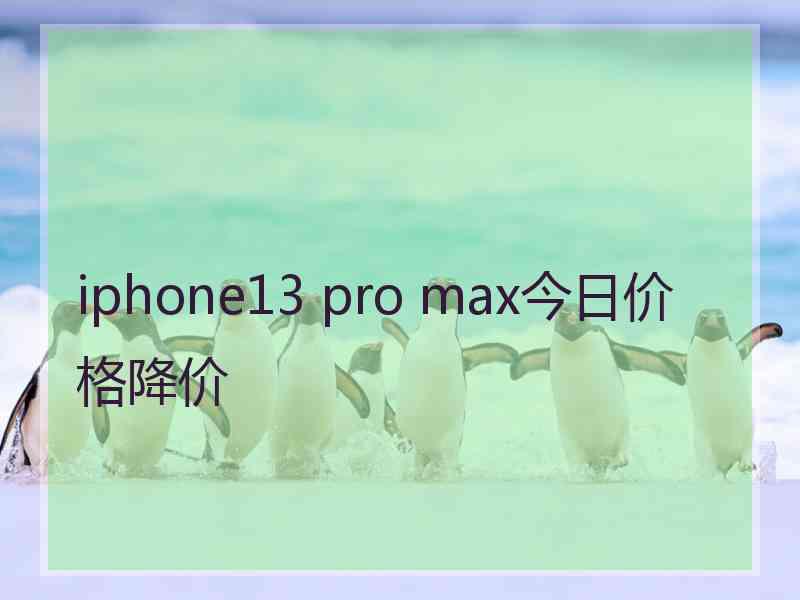 iphone13 pro max今日价格降价