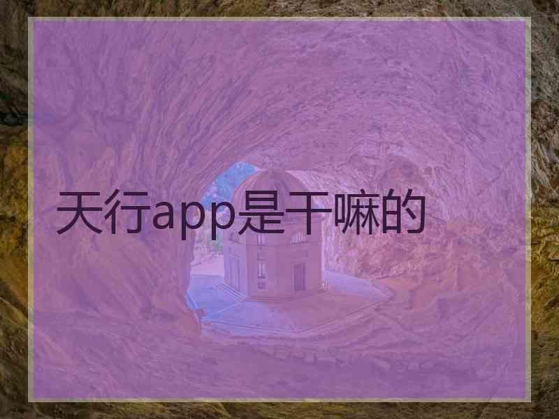 天行app是干嘛的