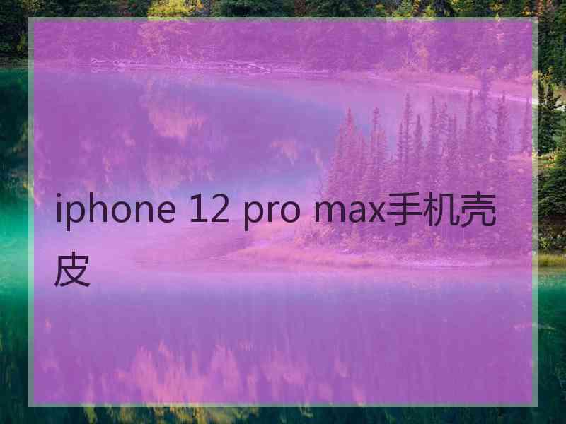 iphone 12 pro max手机壳皮