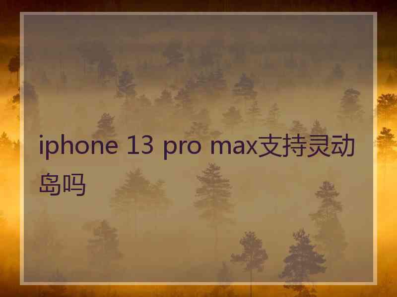 iphone 13 pro max支持灵动岛吗