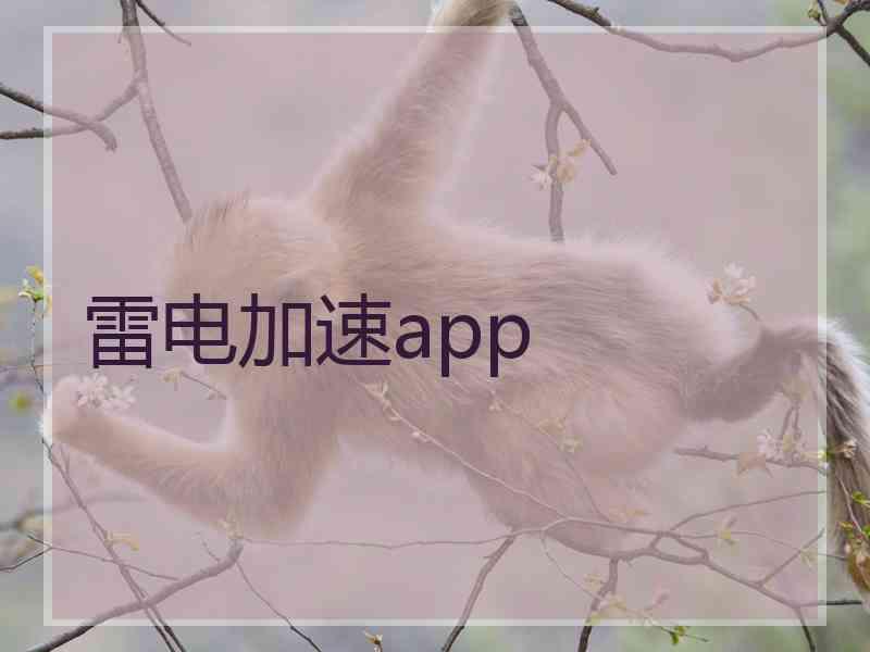 雷电加速app