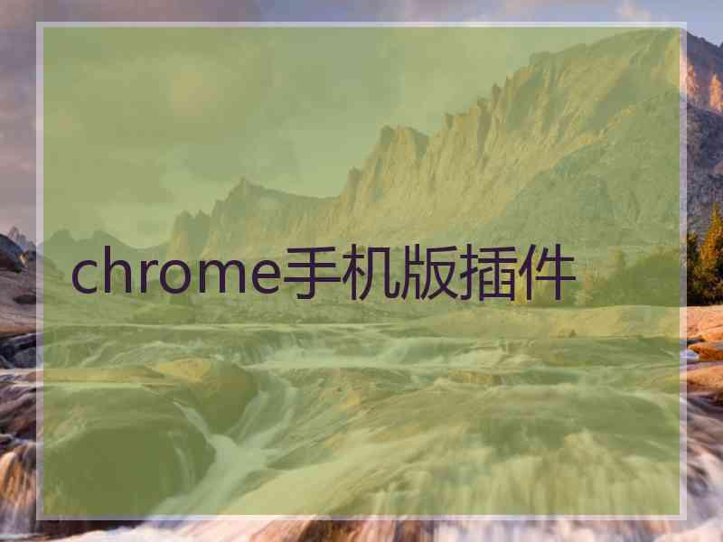 chrome手机版插件