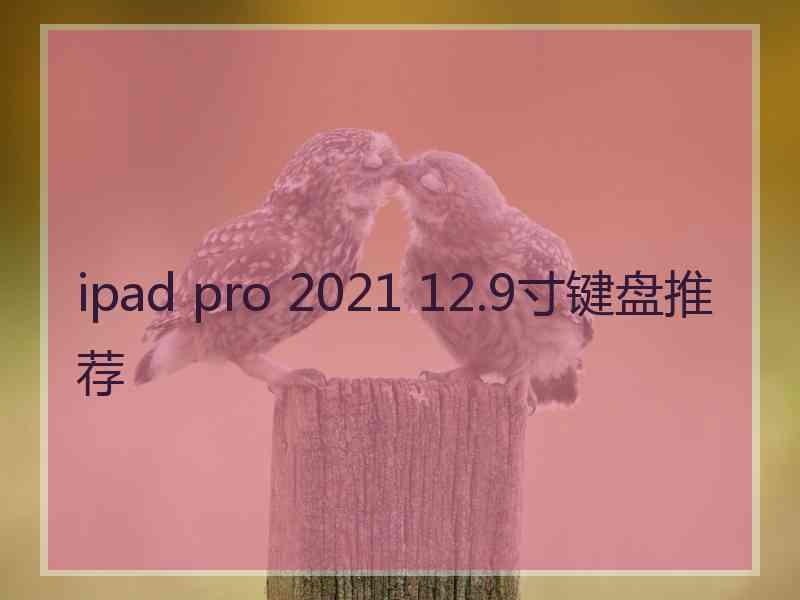 ipad pro 2021 12.9寸键盘推荐