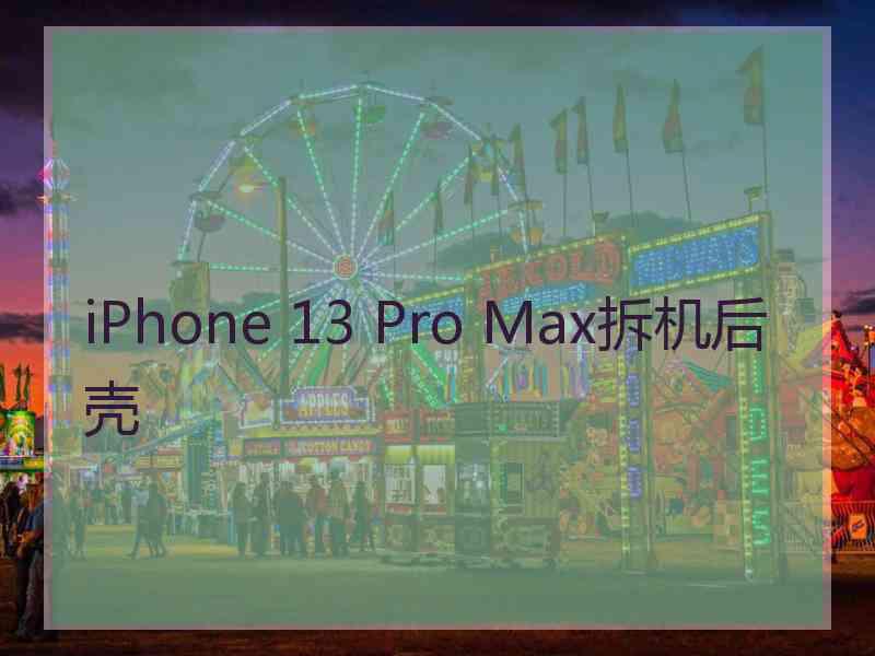 iPhone 13 Pro Max拆机后壳