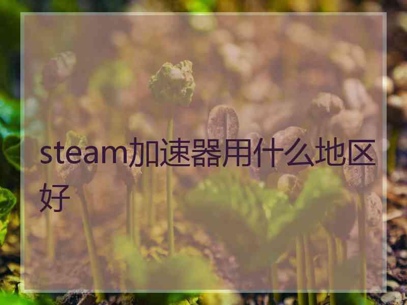 steam加速器用什么地区好