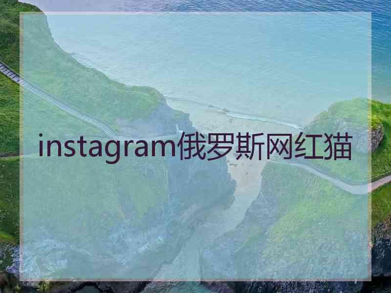 instagram俄罗斯网红猫