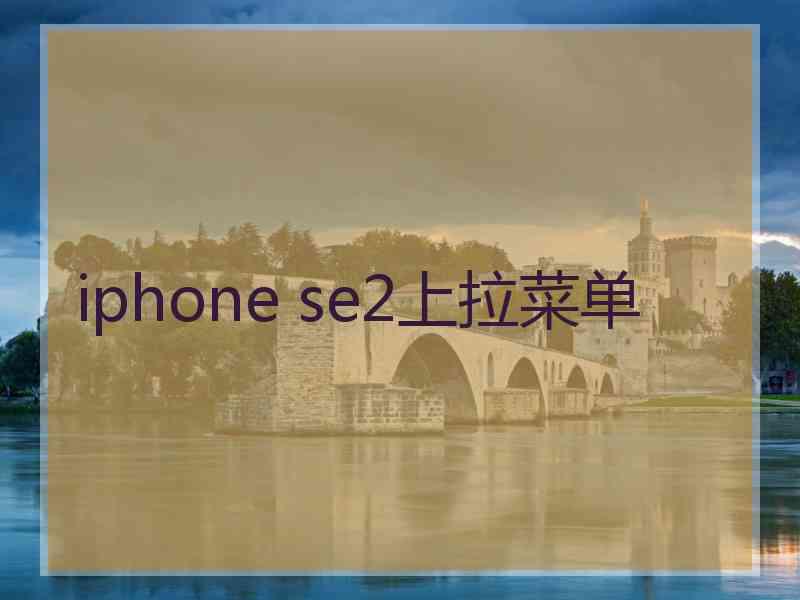 iphone se2上拉菜单