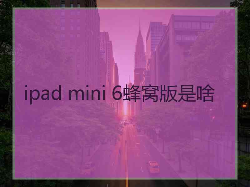 ipad mini 6蜂窝版是啥