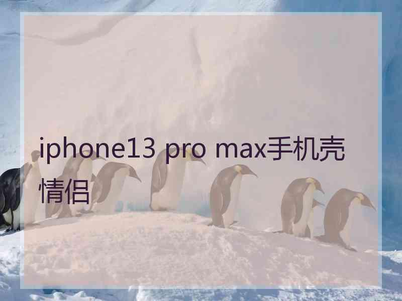 iphone13 pro max手机壳情侣