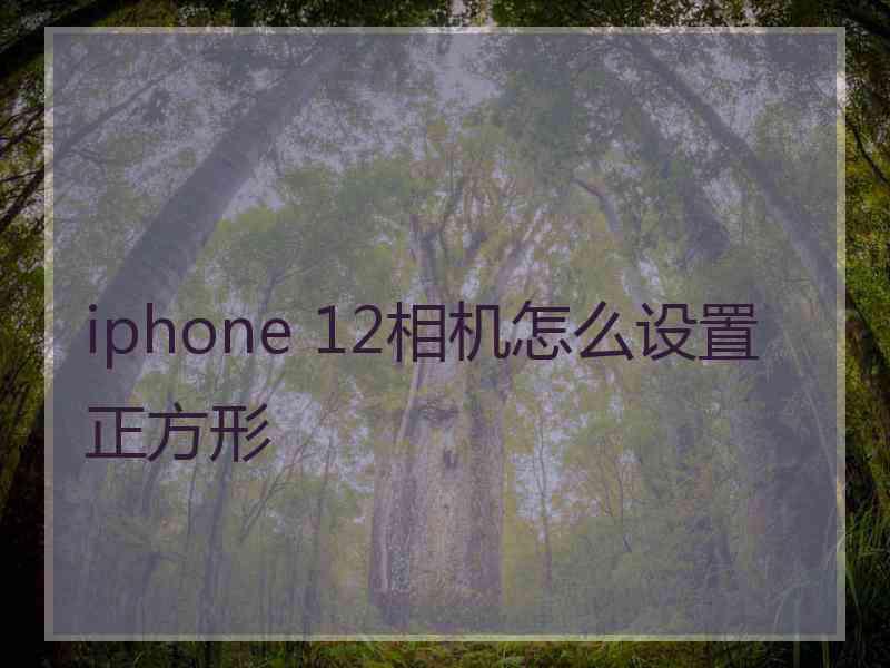 iphone 12相机怎么设置正方形