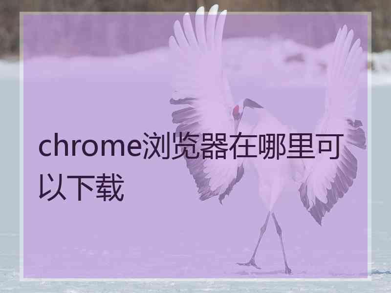 chrome浏览器在哪里可以下载