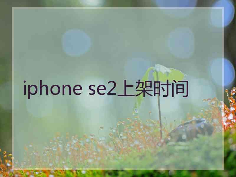 iphone se2上架时间