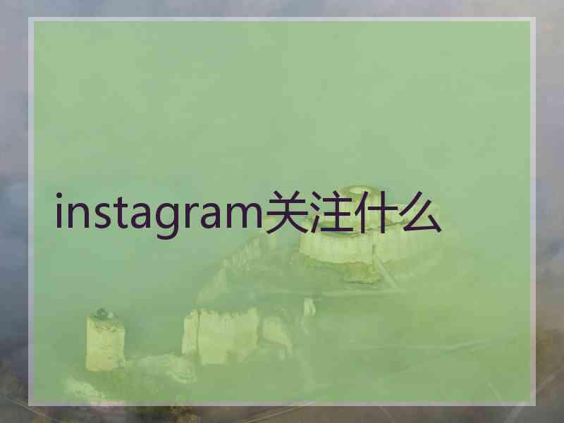 instagram关注什么