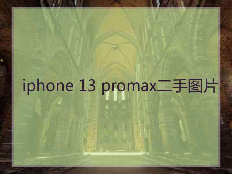 iphone 13 promax二手图片