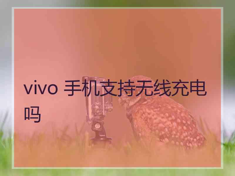 vivo 手机支持无线充电吗