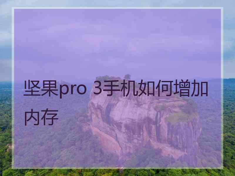 坚果pro 3手机如何增加内存