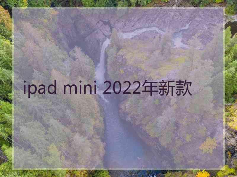 ipad mini 2022年新款