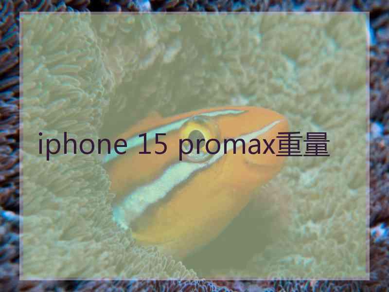 iphone 15 promax重量