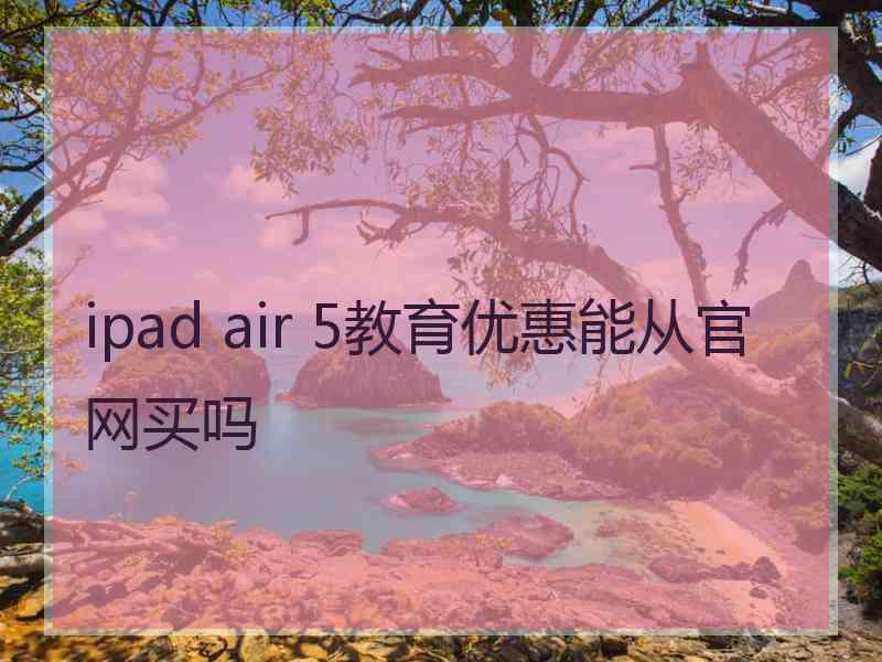 ipad air 5教育优惠能从官网买吗