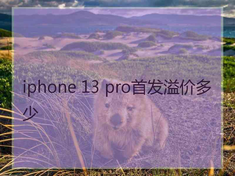 iphone 13 pro首发溢价多少