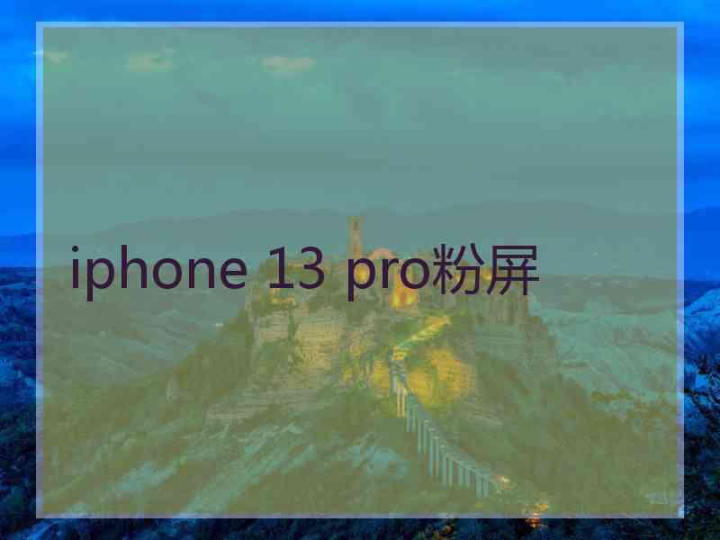 iphone 13 pro粉屏