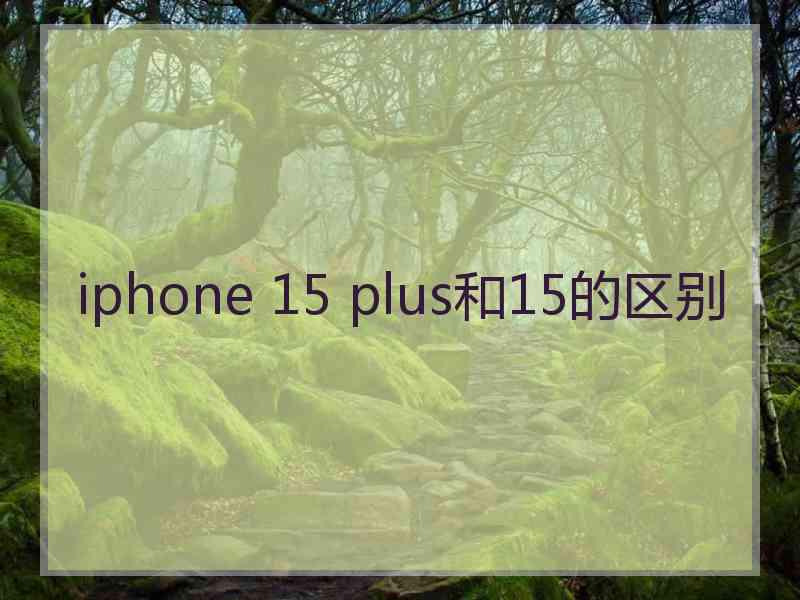 iphone 15 plus和15的区别