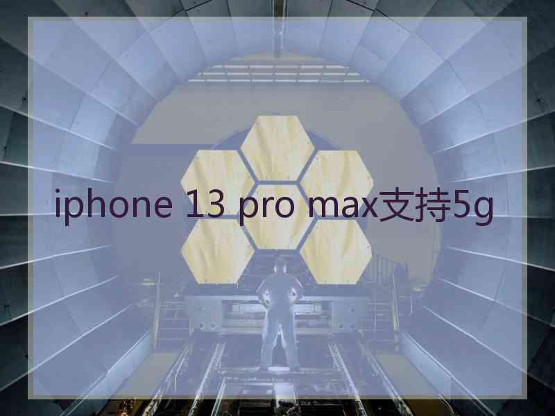 iphone 13 pro max支持5g