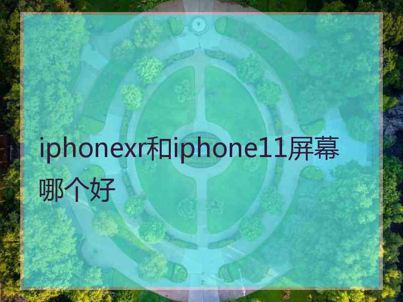 iphonexr和iphone11屏幕哪个好