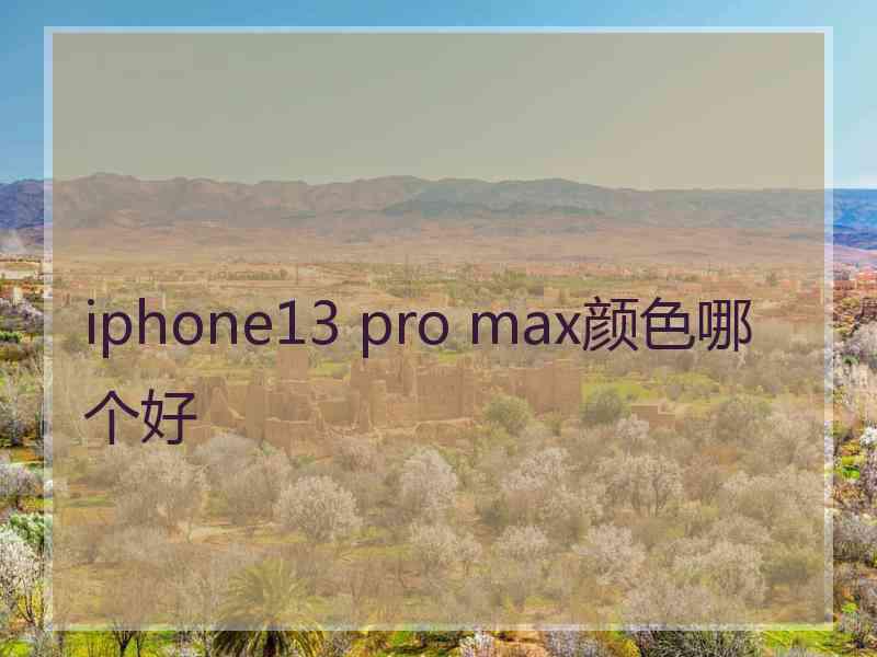 iphone13 pro max颜色哪个好