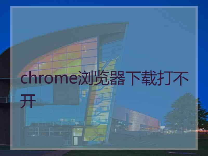 chrome浏览器下载打不开