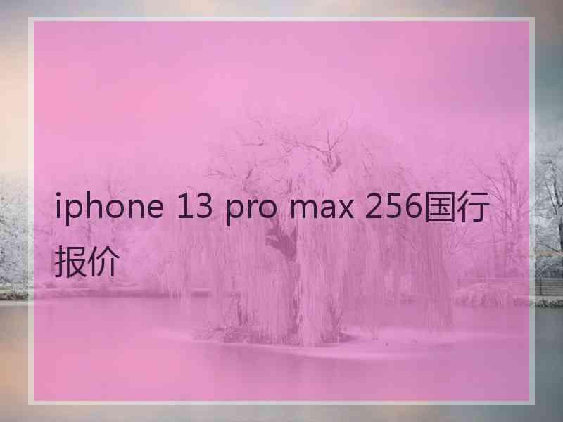 iphone 13 pro max 256国行报价