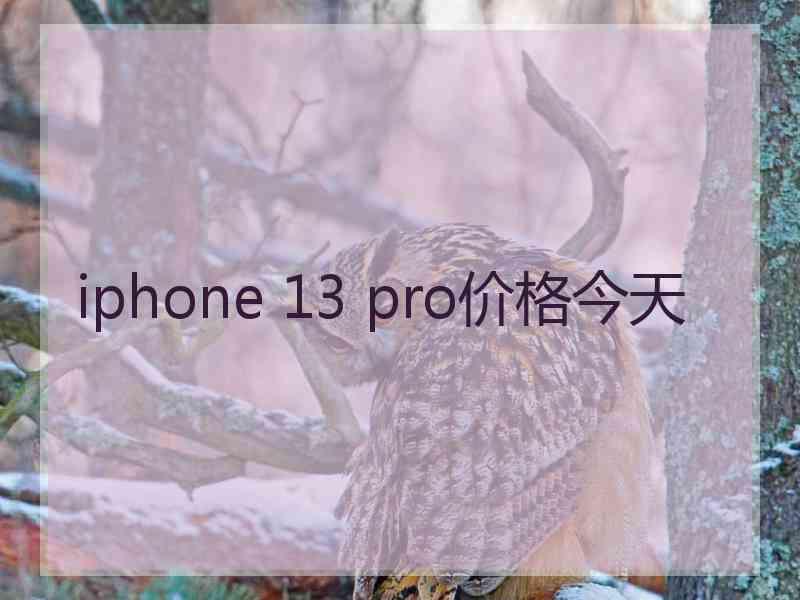 iphone 13 pro价格今天