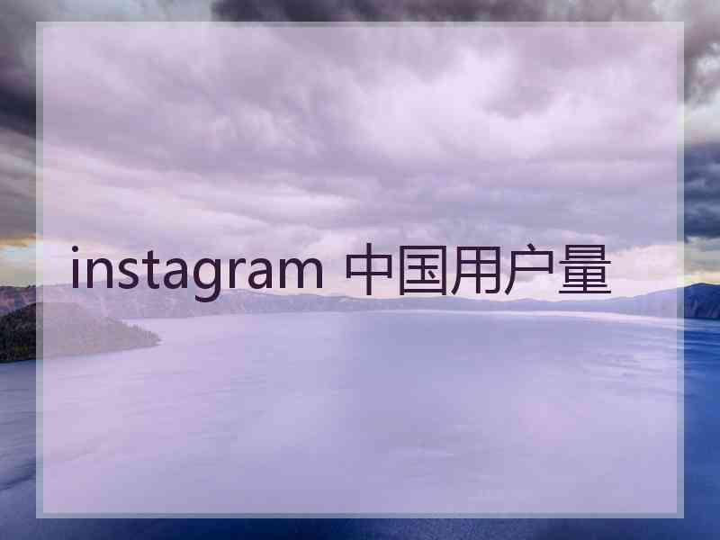 instagram 中国用户量