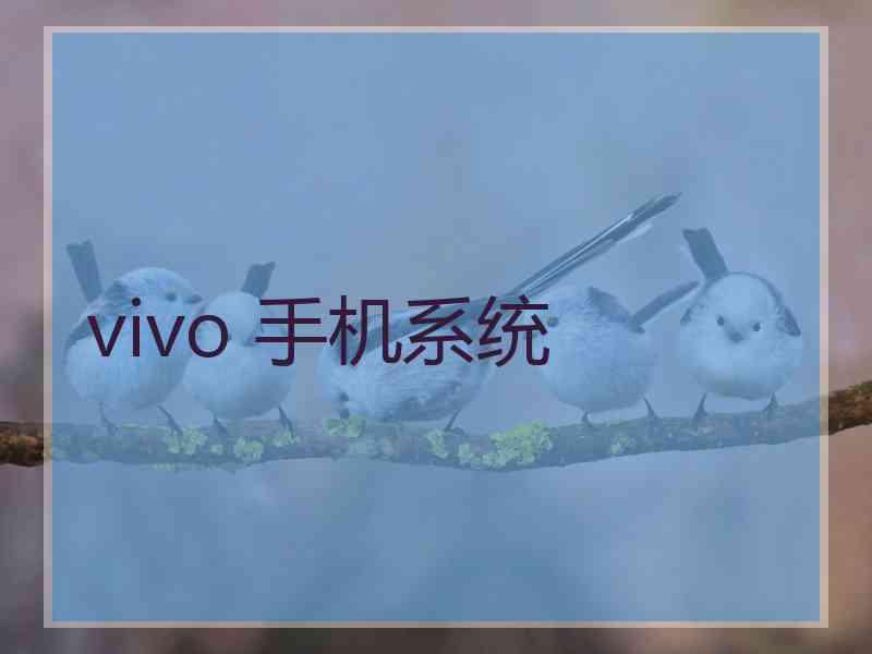 vivo 手机系统