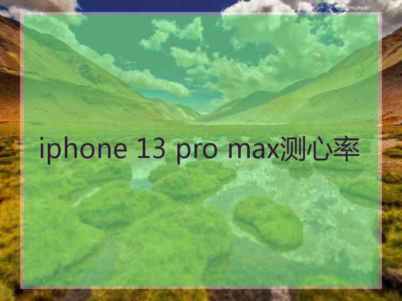 iphone 13 pro max测心率