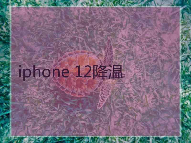 iphone 12降温