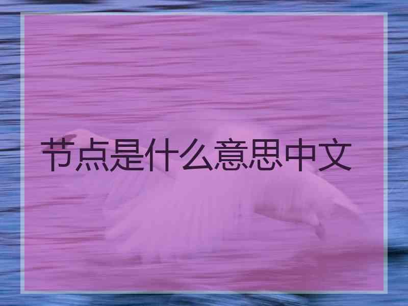 节点是什么意思中文