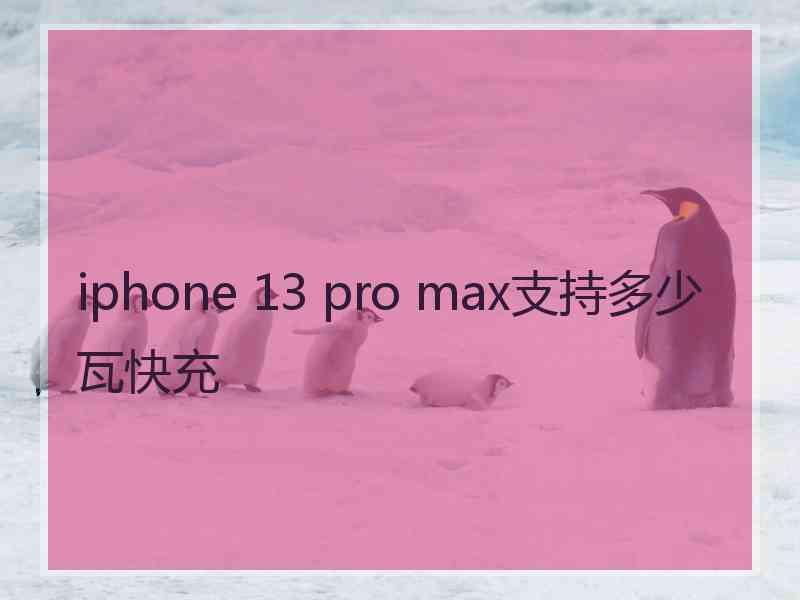 iphone 13 pro max支持多少瓦快充