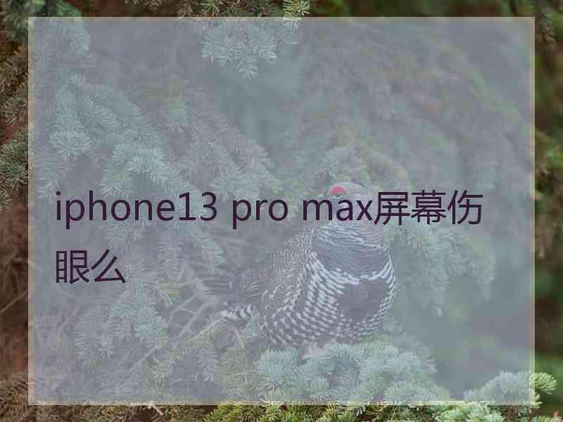 iphone13 pro max屏幕伤眼么