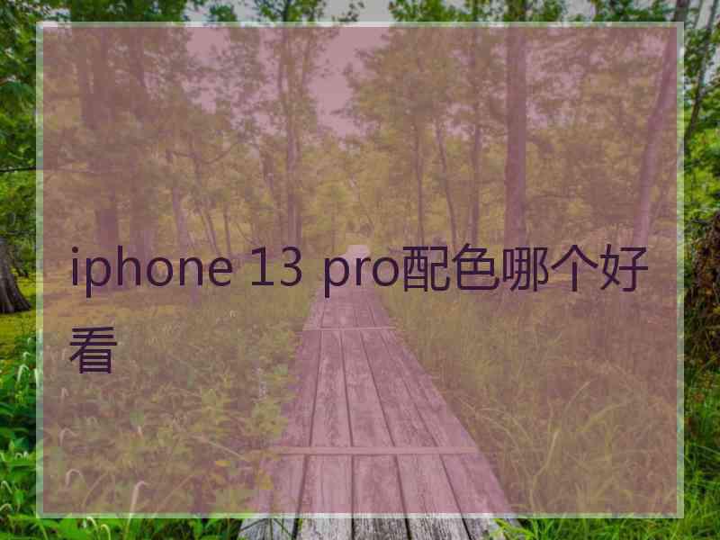 iphone 13 pro配色哪个好看