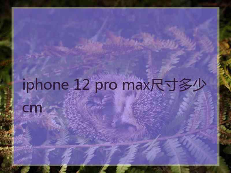 iphone 12 pro max尺寸多少cm